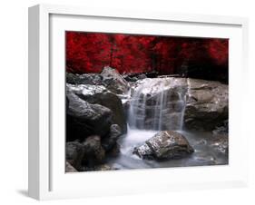 Red Vision-Philippe Sainte-Laudy-Framed Photographic Print