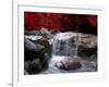Red Vision-Philippe Sainte-Laudy-Framed Photographic Print