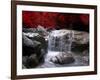 Red Vision-Philippe Sainte-Laudy-Framed Photographic Print