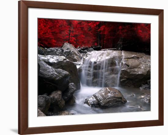 Red Vision-Philippe Sainte-Laudy-Framed Photographic Print