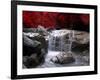 Red Vision-Philippe Sainte-Laudy-Framed Photographic Print