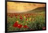 Red Wild Poppies in Galilee-Richard T. Nowitz-Framed Photographic Print