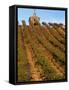 Red Willow Vineyard with Stone Chapel, Yakima County, Washington, USA-Jamie & Judy Wild-Framed Stretched Canvas