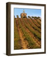 Red Willow Vineyard with Stone Chapel, Yakima County, Washington, USA-Jamie & Judy Wild-Framed Photographic Print