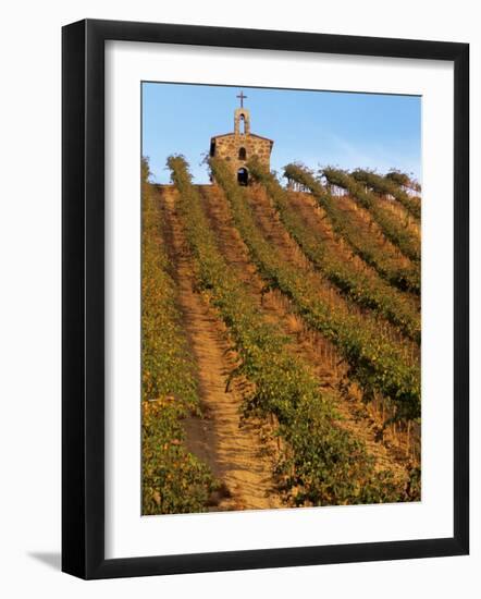 Red Willow Vineyard with Stone Chapel, Yakima County, Washington, USA-Jamie & Judy Wild-Framed Photographic Print