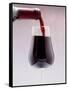 Red Wine bottle pouring into a glass-null-Framed Stretched Canvas