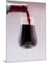 Red Wine bottle pouring into a glass-null-Mounted Photographic Print