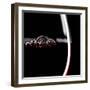 Red Wine Glass Silhouette on Black Background with Bubbles-r classen-Framed Photographic Print