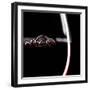 Red Wine Glass Silhouette on Black Background with Bubbles-r classen-Framed Photographic Print