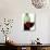 Red Wine Glass with Half-Full Wine Bottle in Background-Joerg Lehmann-Stretched Canvas displayed on a wall