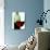 Red Wine Glass with Half-Full Wine Bottle in Background-Joerg Lehmann-Photographic Print displayed on a wall