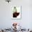 Red Wine Glass with Half-Full Wine Bottle in Background-Joerg Lehmann-Framed Photographic Print displayed on a wall