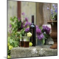 Red Wine Glasses & Red Wine Bottle on Stone Trough with Flowers-Christine Gill?-Mounted Photographic Print