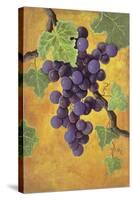 Red Wine Grapes-Jennifer Lorton-Stretched Canvas