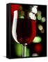 Red Wine in Glass-Vladimir Shulevsky-Framed Stretched Canvas