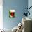 Red Wine in Glass-Vladimir Shulevsky-Photographic Print displayed on a wall