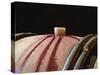 Red Wine in Oak Barrel at Lucien Muzard, Santenay, Bourgogne, France-Per Karlsson-Stretched Canvas