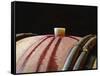 Red Wine in Oak Barrel at Lucien Muzard, Santenay, Bourgogne, France-Per Karlsson-Framed Stretched Canvas