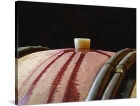 Red Wine in Oak Barrel at Lucien Muzard, Santenay, Bourgogne, France-Per Karlsson-Stretched Canvas