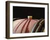 Red Wine in Oak Barrel at Lucien Muzard, Santenay, Bourgogne, France-Per Karlsson-Framed Photographic Print