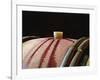 Red Wine in Oak Barrel at Lucien Muzard, Santenay, Bourgogne, France-Per Karlsson-Framed Photographic Print