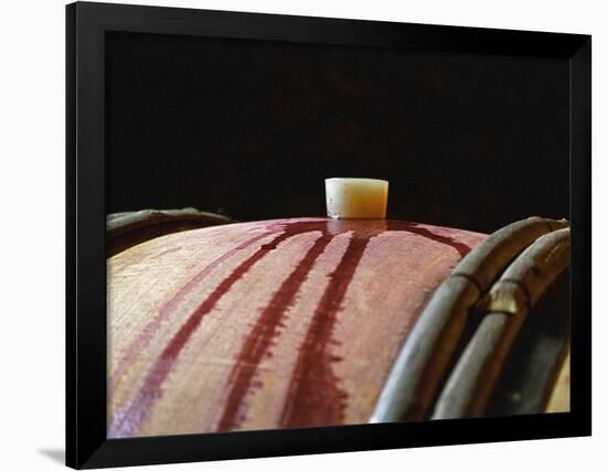 Red Wine in Oak Barrel at Lucien Muzard, Santenay, Bourgogne, France-Per Karlsson-Framed Photographic Print