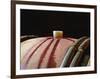 Red Wine in Oak Barrel at Lucien Muzard, Santenay, Bourgogne, France-Per Karlsson-Framed Photographic Print