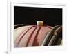 Red Wine in Oak Barrel at Lucien Muzard, Santenay, Bourgogne, France-Per Karlsson-Framed Photographic Print