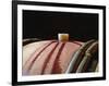 Red Wine in Oak Barrel at Lucien Muzard, Santenay, Bourgogne, France-Per Karlsson-Framed Photographic Print