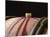 Red Wine in Oak Barrel at Lucien Muzard, Santenay, Bourgogne, France-Per Karlsson-Mounted Photographic Print