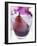 Red Wine Pear, Served in a Glass-Alena Hrbkova-Framed Photographic Print