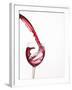 Red Wine Pouring into a Glass from Bottle-null-Framed Photographic Print