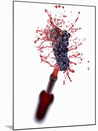 Red Wine Splashing Out of Bottle-Kröger & Gross-Mounted Photographic Print