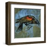 Red Wing Blackbird No. 1-John Golden-Framed Giclee Print