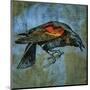 Red Wing Blackbird No. 1-John Golden-Mounted Giclee Print