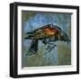 Red Wing Blackbird No. 1-John Golden-Framed Giclee Print