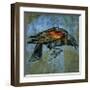 Red Wing Blackbird No. 1-John Golden-Framed Giclee Print