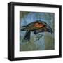 Red Wing Blackbird No. 1-John W^ Golden-Framed Art Print