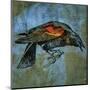 Red Wing Blackbird No. 1-John W^ Golden-Mounted Art Print