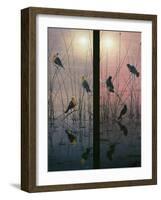 Red Winged and Yellow Headed Blackbirds-Jeff Tift-Framed Giclee Print