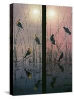 Red Winged and Yellow Headed Blackbirds-Jeff Tift-Stretched Canvas