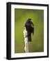 Red-Winged Blackbird, Ridgefield Nwr, Ridgefield, Washington, Usa-Michel Hersen-Framed Photographic Print