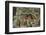 Red Wolf-Gary Carter-Framed Photographic Print