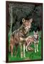 Red Wolves-Lantern Press-Framed Art Print