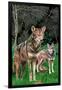 Red Wolves-Lantern Press-Framed Art Print