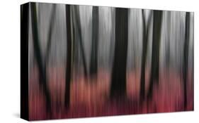 Red Wood-Gilbert Claes-Stretched Canvas