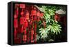 Red Wooden Buddhist Good Luck Charms and Tropical Vegetation, Hangzhou, Zhejiang, China-Andreas Brandl-Framed Stretched Canvas