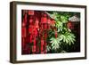 Red Wooden Buddhist Good Luck Charms and Tropical Vegetation, Hangzhou, Zhejiang, China-Andreas Brandl-Framed Photographic Print