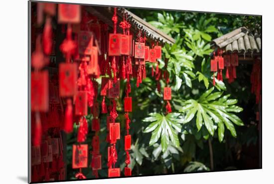 Red Wooden Buddhist Good Luck Charms and Tropical Vegetation, Hangzhou, Zhejiang, China-Andreas Brandl-Mounted Photographic Print