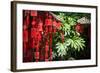 Red Wooden Buddhist Good Luck Charms and Tropical Vegetation, Hangzhou, Zhejiang, China-Andreas Brandl-Framed Photographic Print